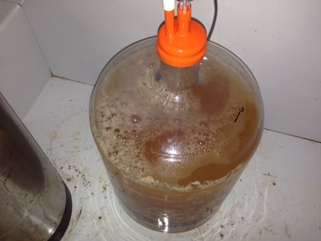 20 hours after yeast pitched