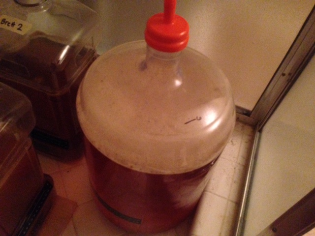 1 week since yeast pitched