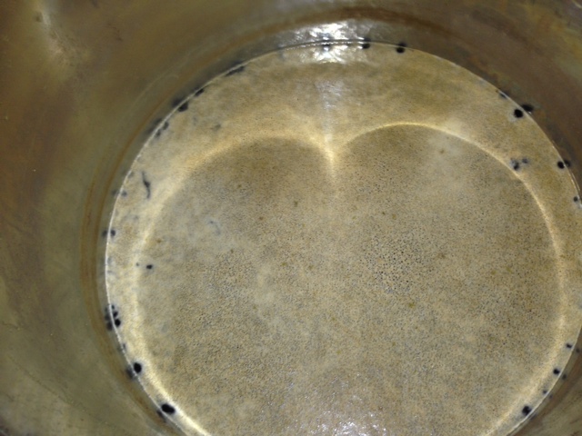 8 hours after yeast pitched