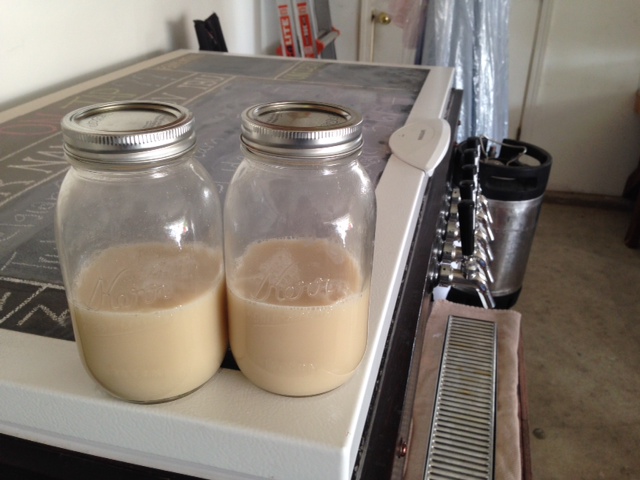 10_yeast_rehydrating