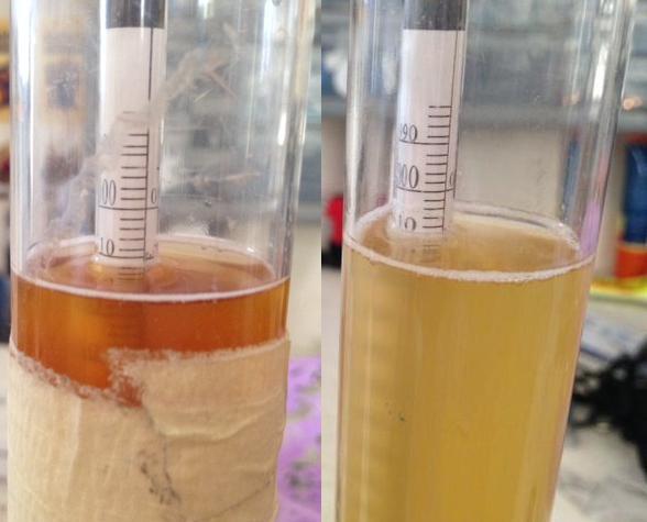 Left: Extract | Right: All-Grain