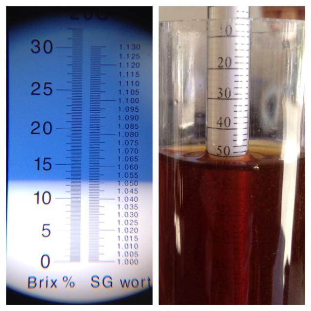 Refractometer vs. hydrometer