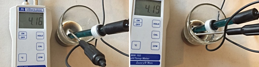 Left: full mash | Right: capped mash