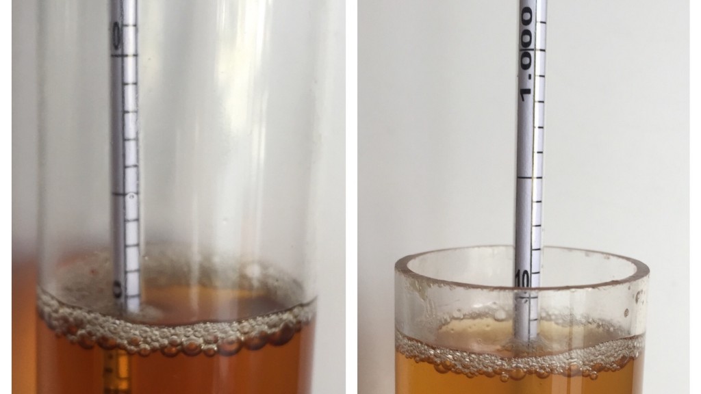 Left: extract 1.017 SG | Right: all grain 1.012 SG