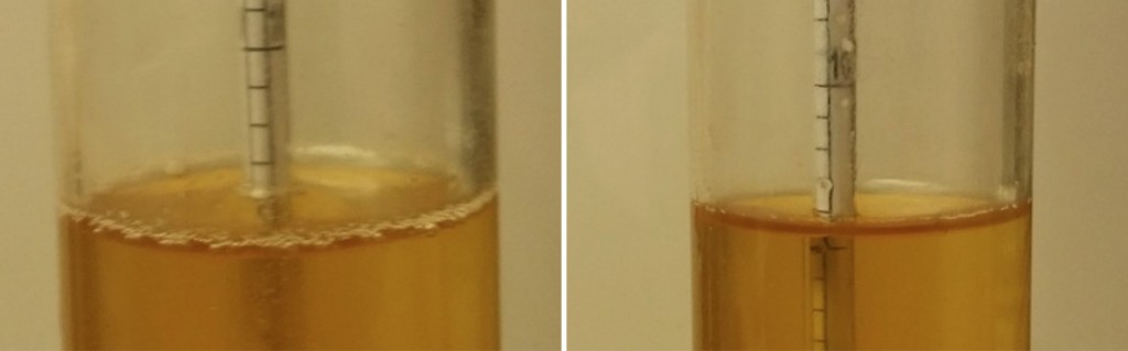 Left: hot hop stand | Right: chilled hop stand