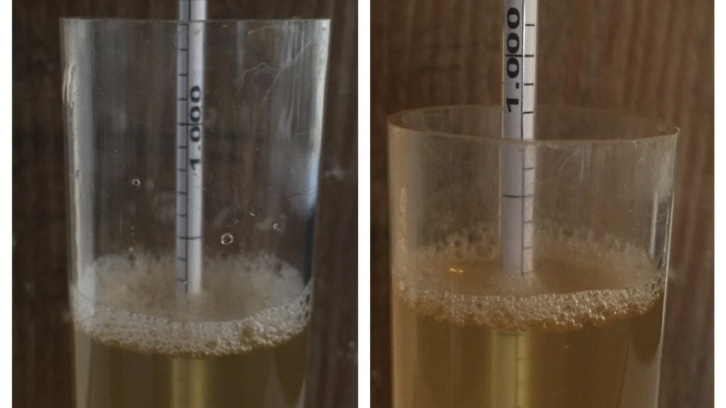 Left: cool ferment 1.008 | Right: warm ferment 1.008