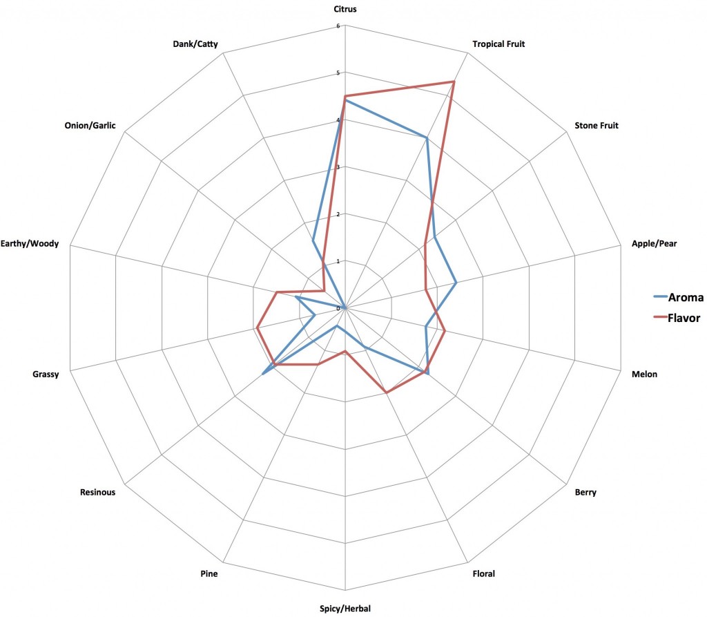 08_THCDenali_RadarGraph