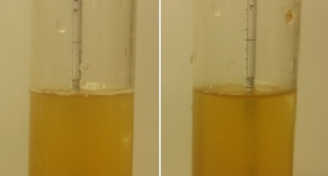 Left: Hop Stand 1.011 SG | Right: Dry Hop 1.011 SG