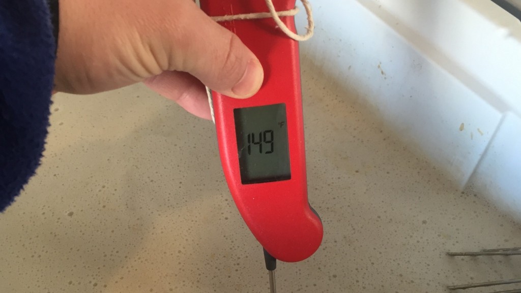 Click pic for ThermaPen review