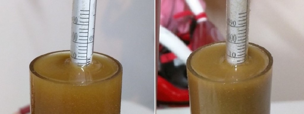 Left: normal vorlauf | Right: grain added to boil