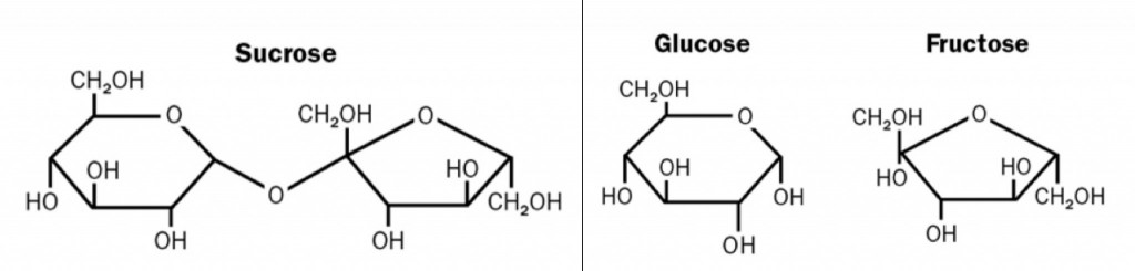 99_CandiSyrup1_molecules