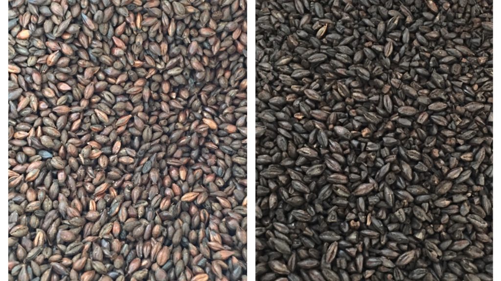 Left: Roasted Barley | Right: Black Malt