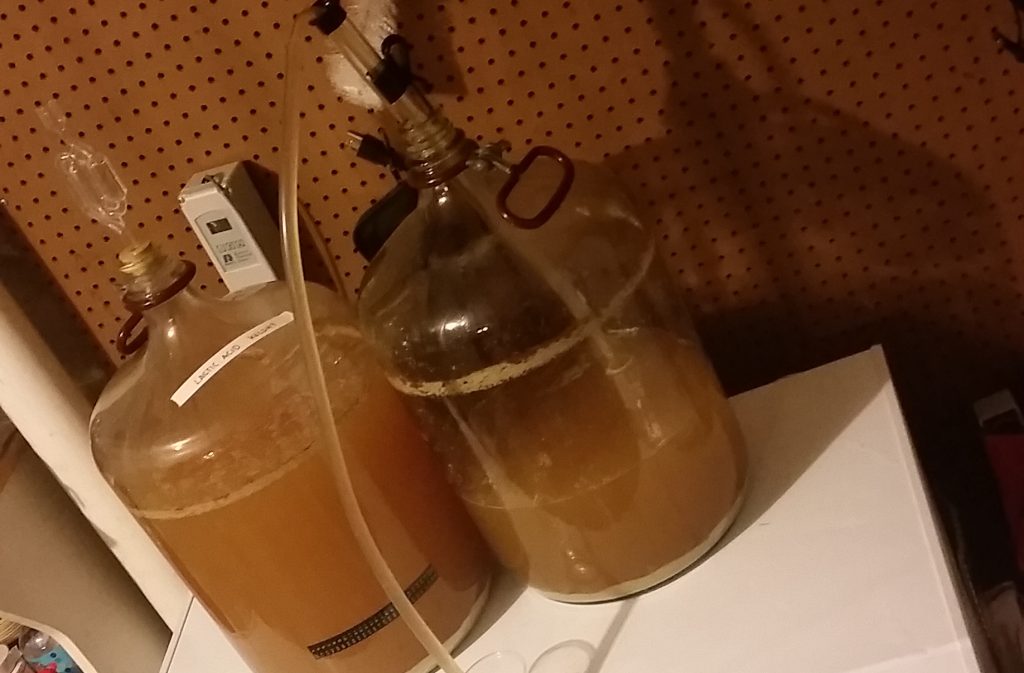 11_WaterChem4pH_kegging