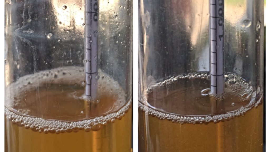 Left: old hops 1.007 | Right: fresh hops 1.007