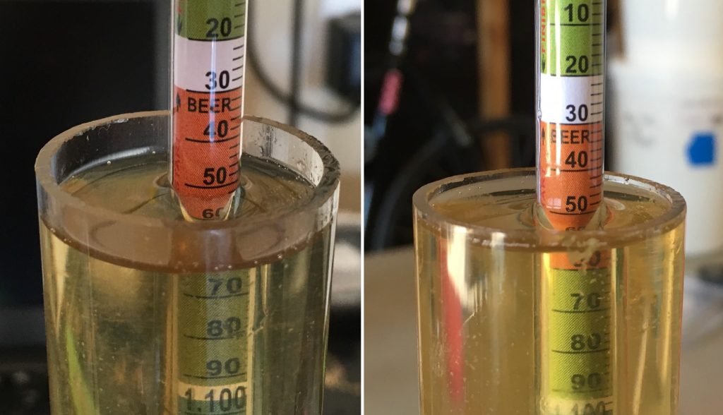 Left: batch sparge 1.052 | Right: no sparge 1.050