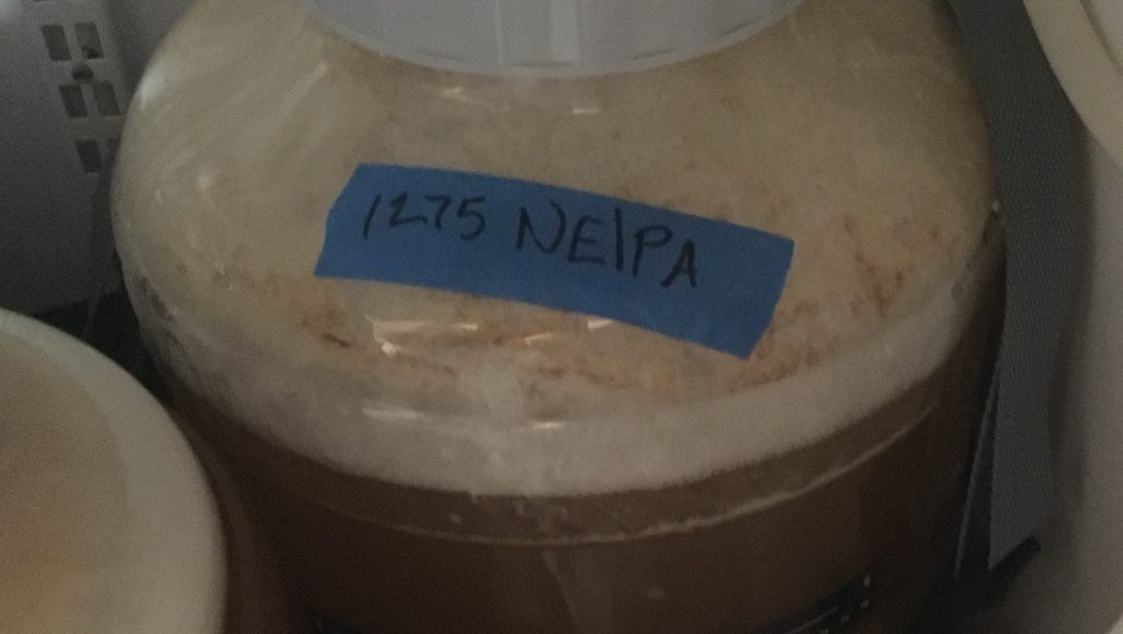 06_shortshoddyNEIPA_fermentation