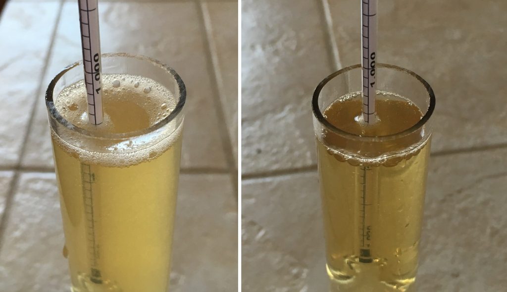 Left: batch sparge 1.005 | Right: 1.006