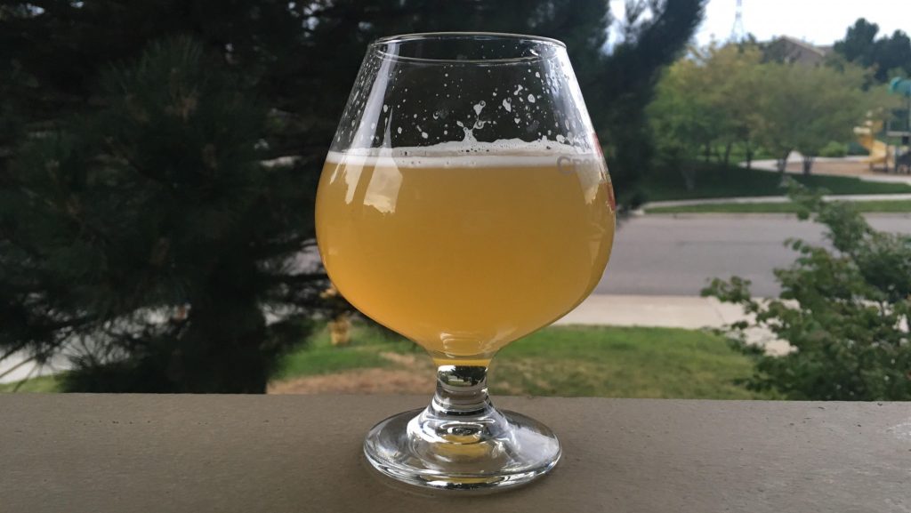 09_shortshoddyNEIPA_glass