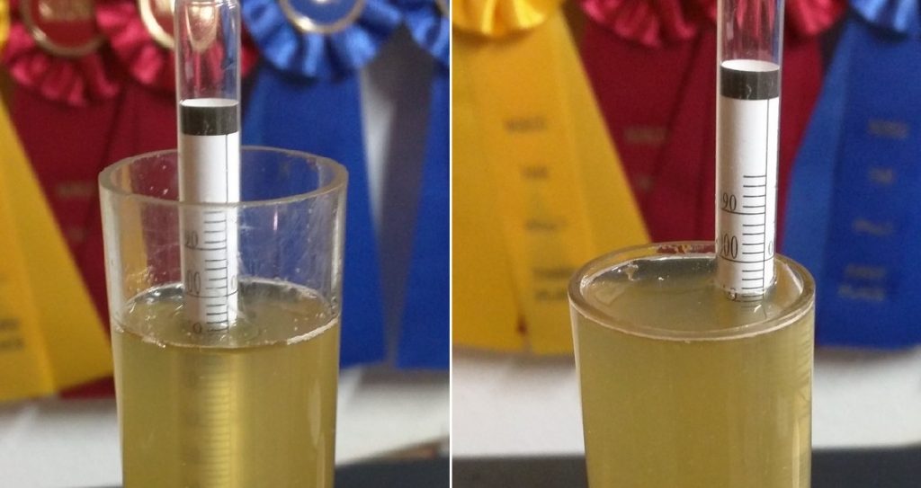 Left: lower mash temp 1.008 | Right: higher mash temp 1.009