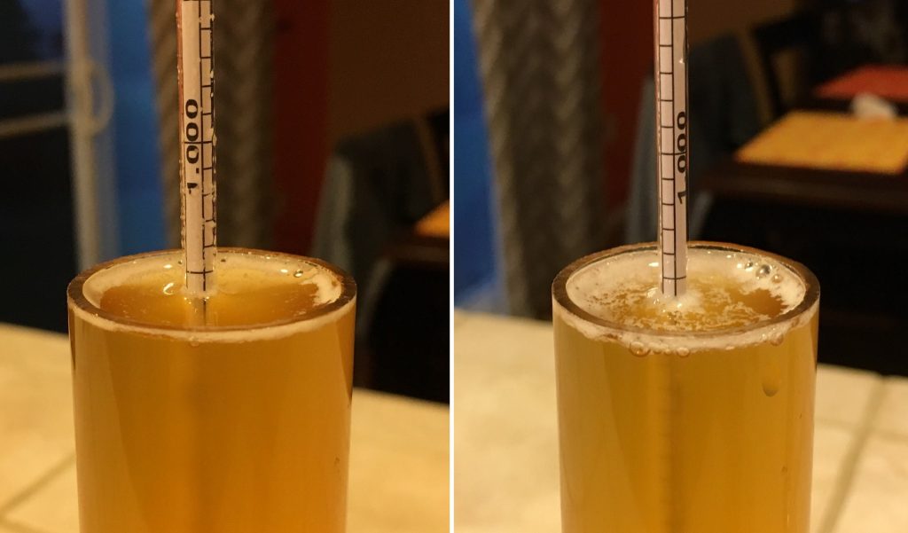 Left: keg 1.006 FG | Right: bottle condition 1.006 FG