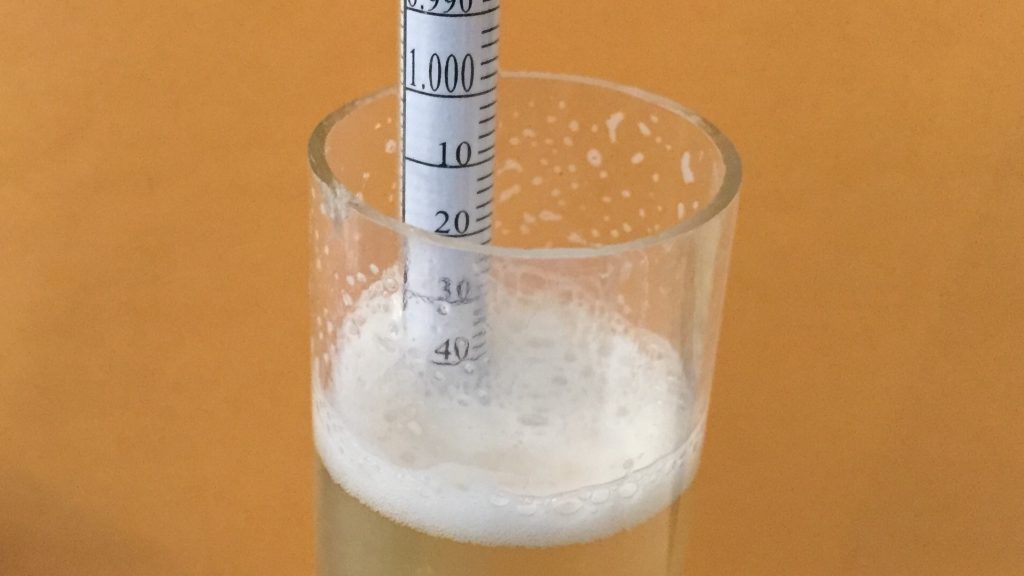 Traditional batch at 1.042 SG after fermenting for 1 week