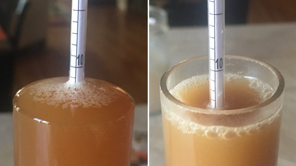 Left: Melanoidin malt 1.012 FG | Right: Honey malt 1.013 OG