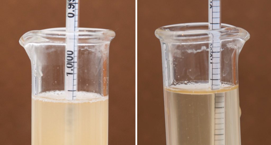 Left: boiled 1.006 FG | Right: no-boil 1.006 FG