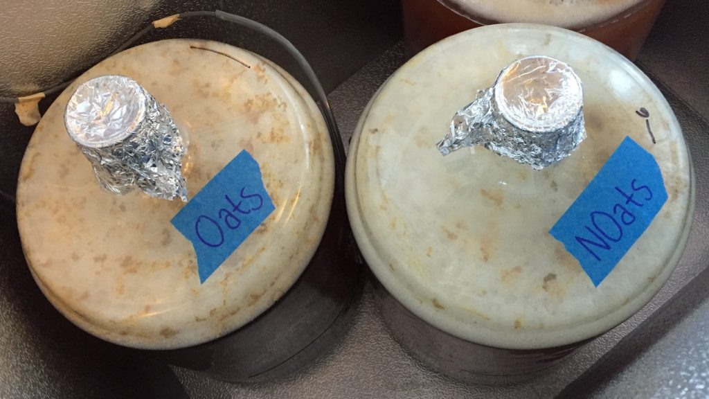 Left: Oats | Right: NOats