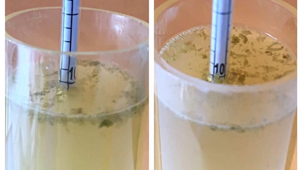 Left: Oats 1.010 FG | Right: NOats 1.010 FG