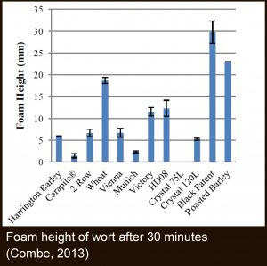 99_carapils_foamheightchart