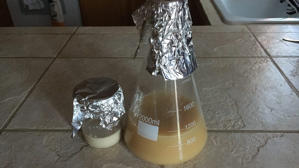 09_dryyeaststarter_yeasts2