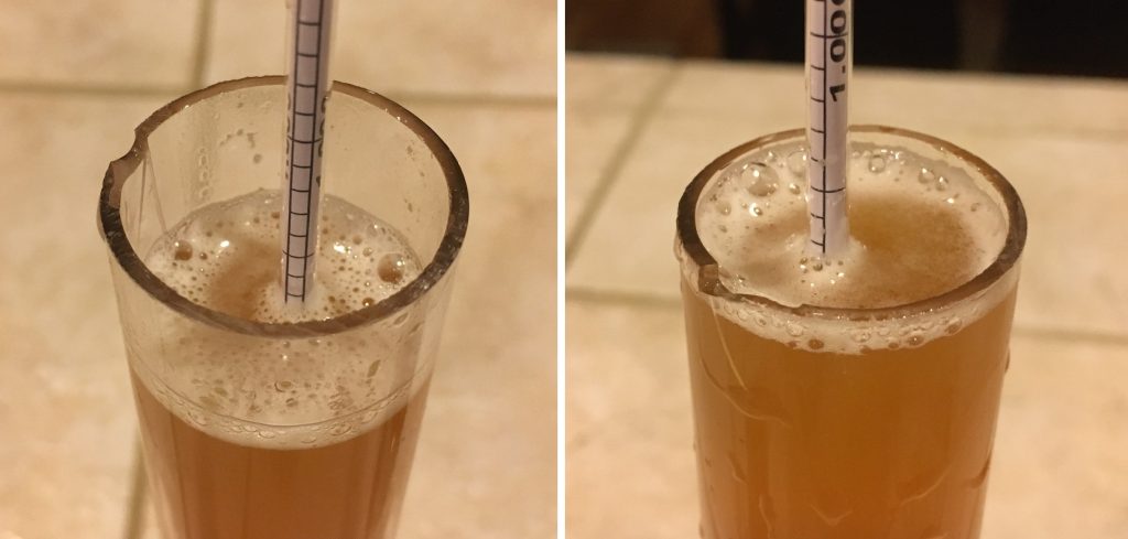 Left: rehydrated 1.000 FG | Right: starter 1.000 FG