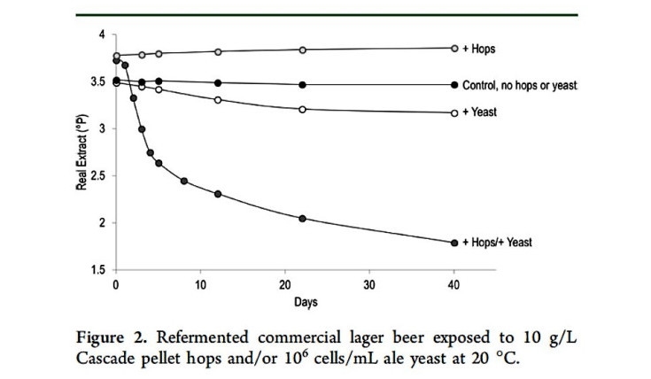 03_surprisingscienceofdryhopping_hopcreep-chart