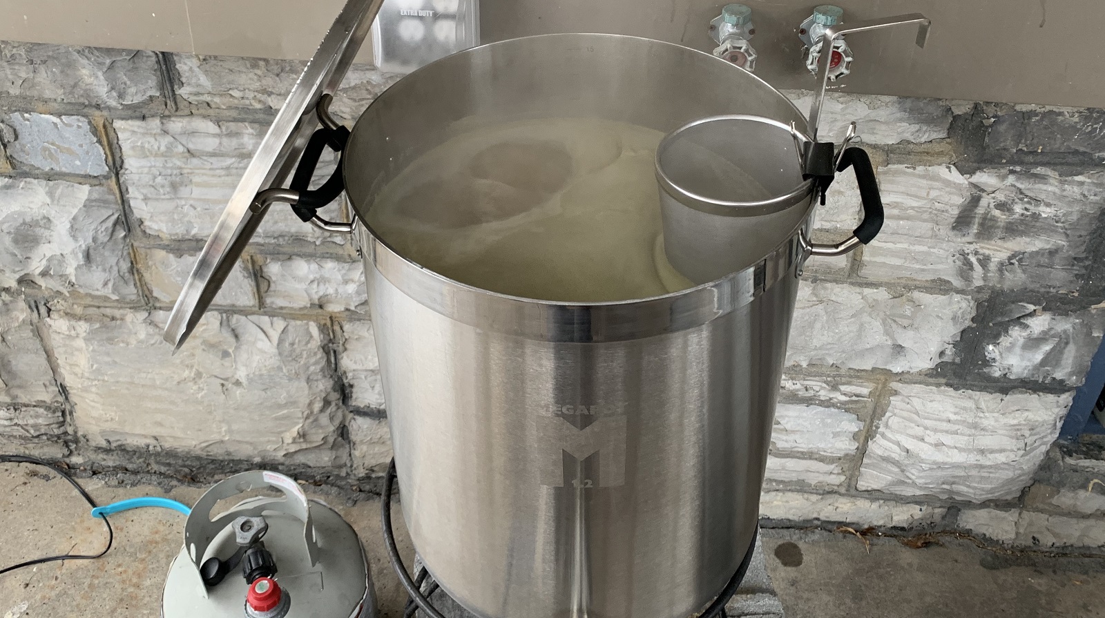 06_impactoffrozenyeast_boil