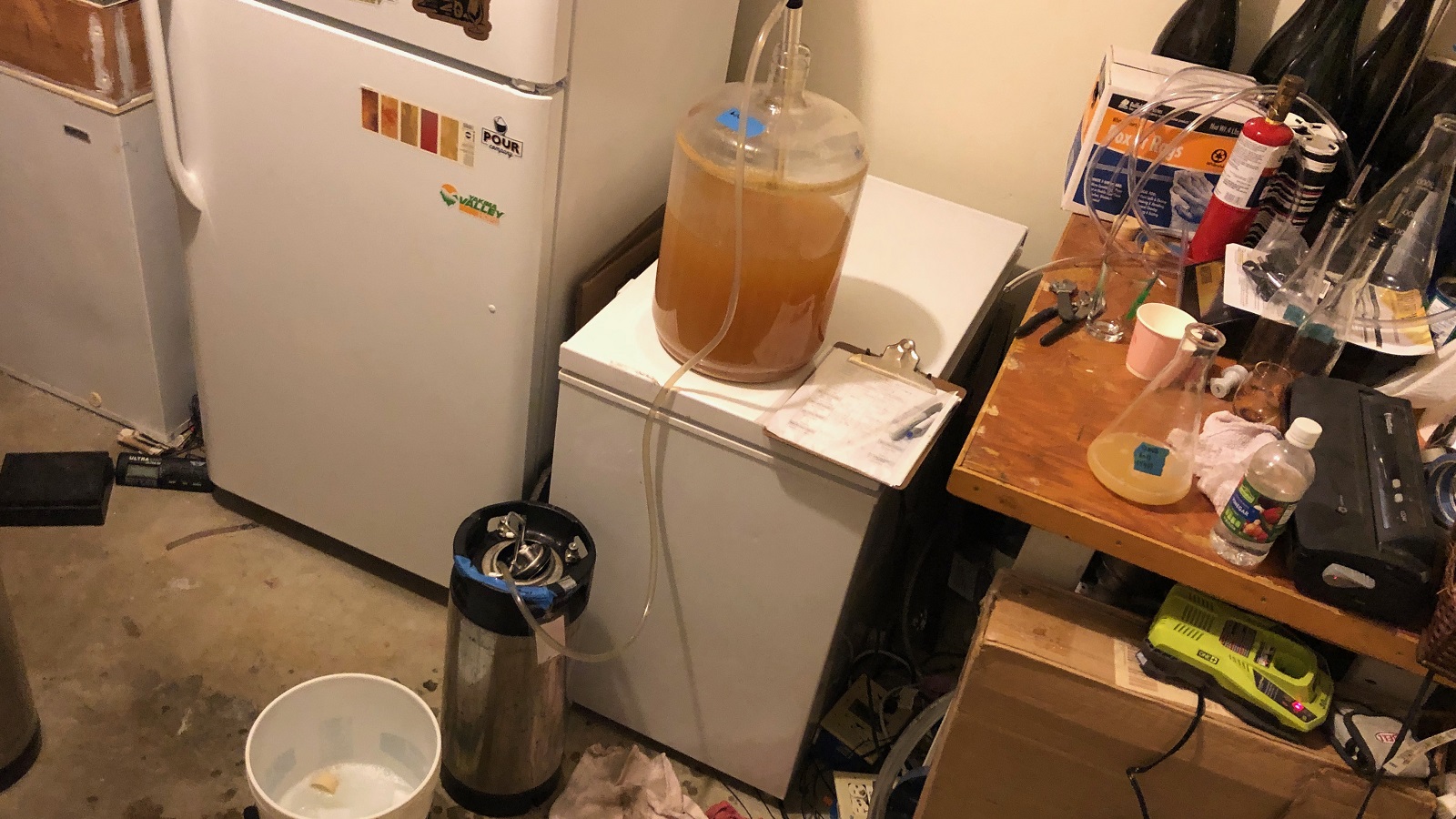 12_straightrovsadjustedroinblondeale_kegging