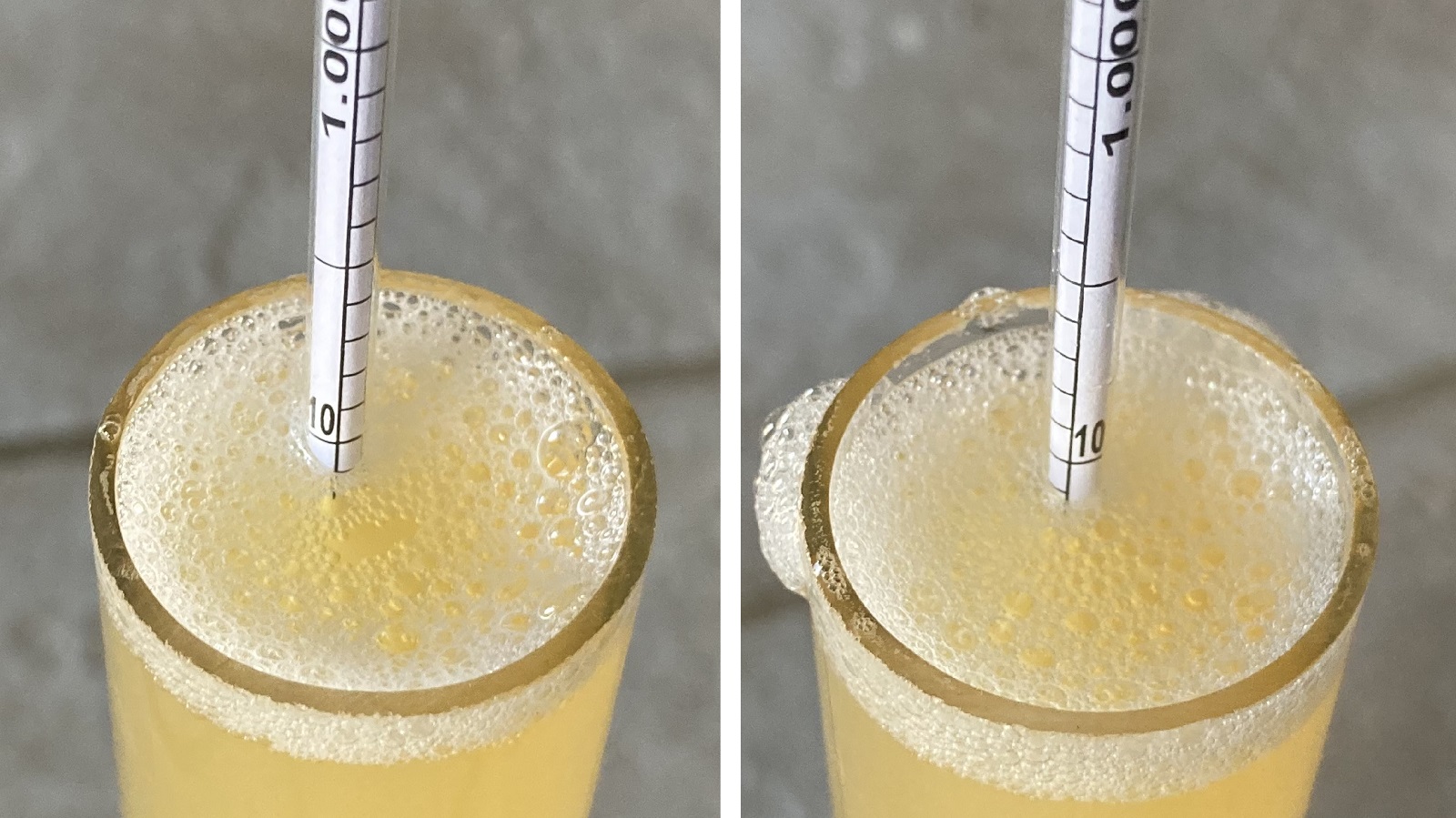 10_honeypasteurizationrawvsheated_rawFG1011pasteurized