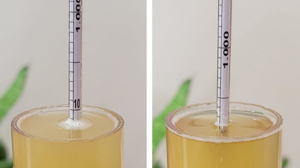 Left: cool 1.011 FG | Right: warm 1.008 FG