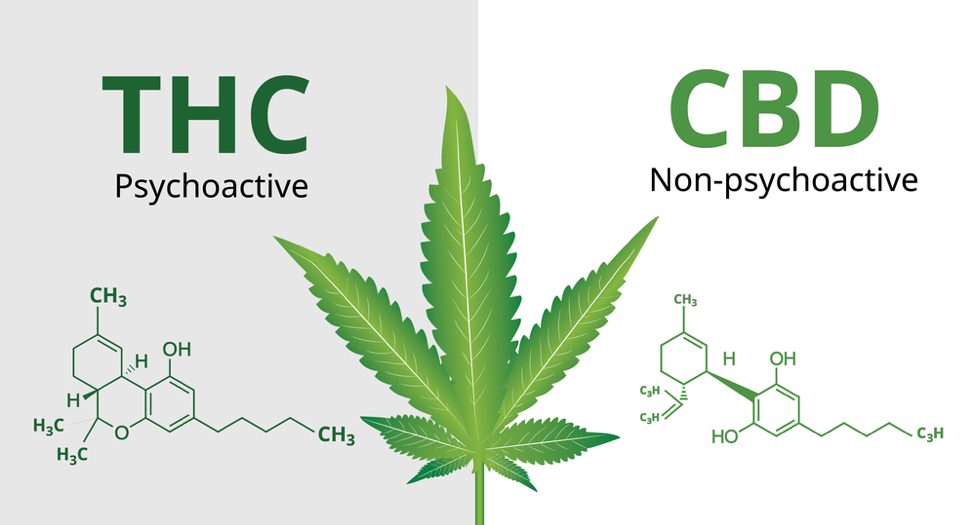 9 Unique CBD & THC Products You Need to Know