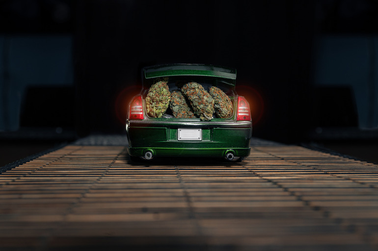 Car trunk loaded for weed delivery in Gatineau