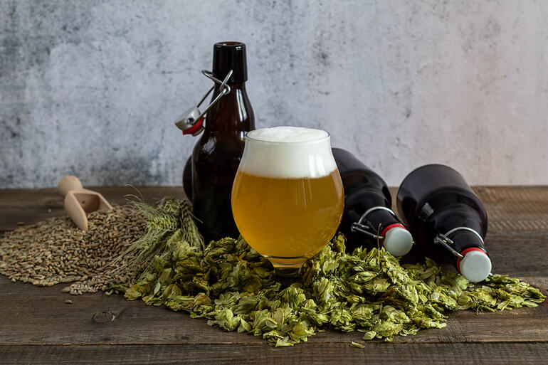 Craft Beer With Cannabis Surrounded by Hops