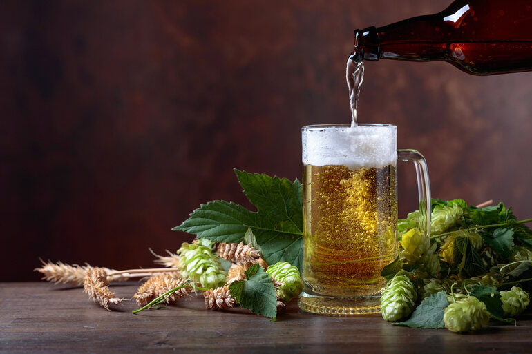 A glass of freshly poured beer surrounded by hops, cannabis and barley, symbolizing beer and cannabis trends