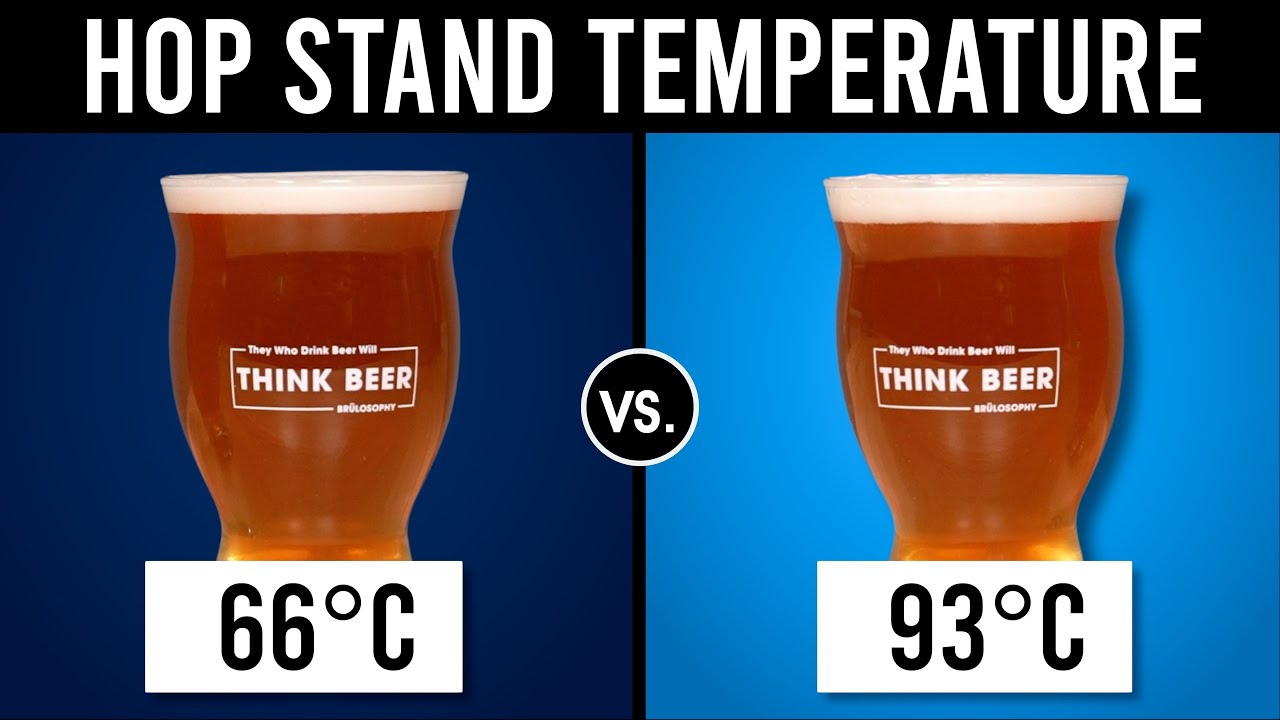 Hop stand temperature comparison beers in glasses