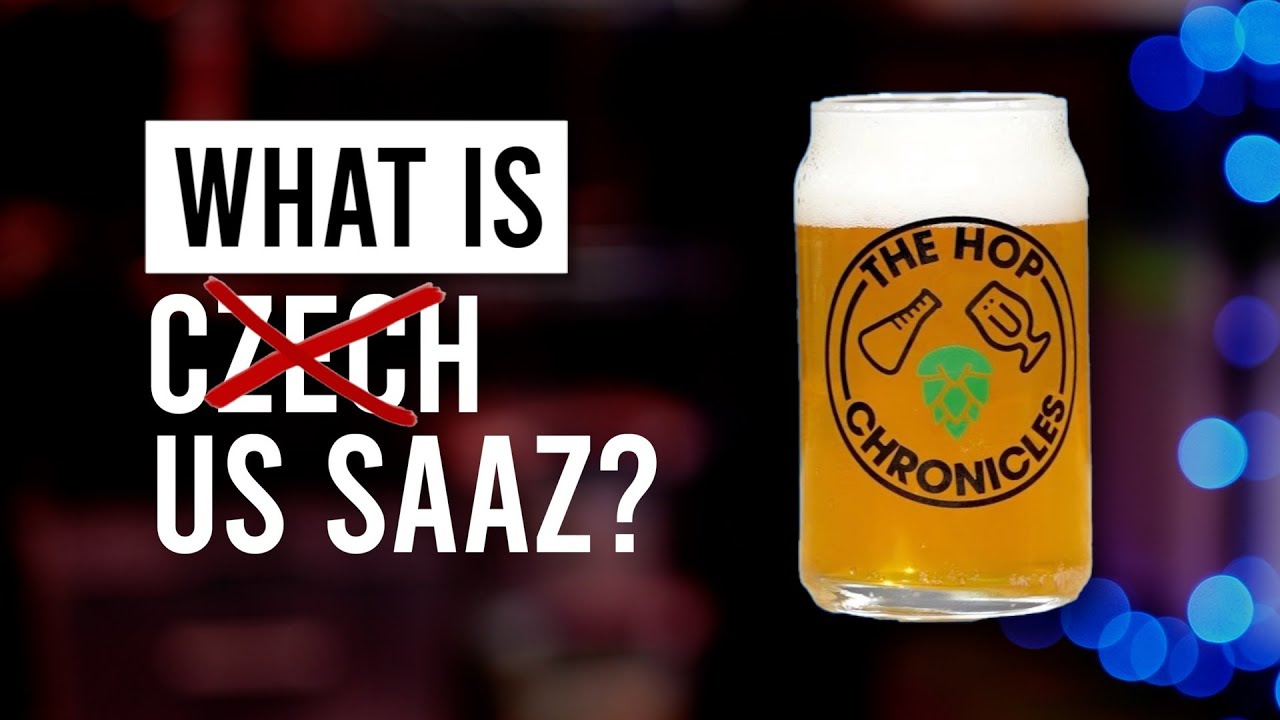 United States Saaz single hop beer in a glass