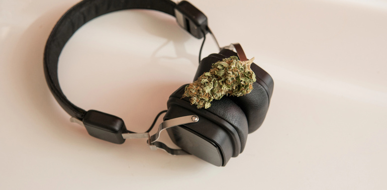 A fully grown cannabis plant on a pair of headphones