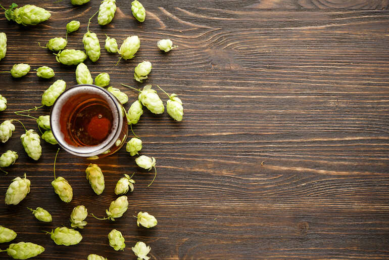 Glass of amber beer surrounded by fresh green hops on a wooden table, symbolizing the connection between pattern recognition, brewing, and sensory enjoyment