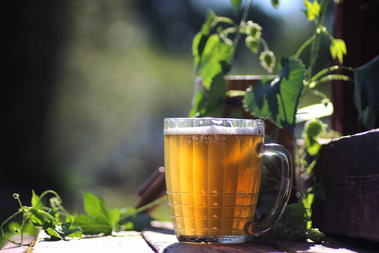 A great beer is produced and served in a mug after homebrewing experiments