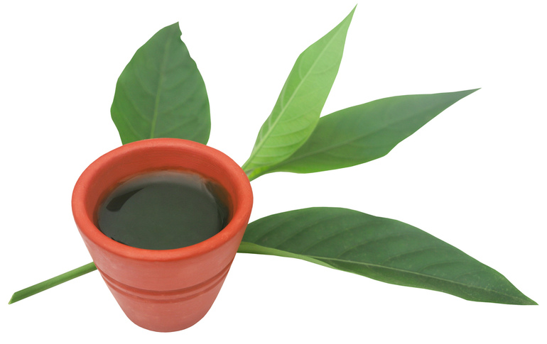 Real Botanicals, premium kratom leaves and kava on the white background